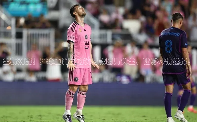 门徒拉菲9注册链接视觉中国