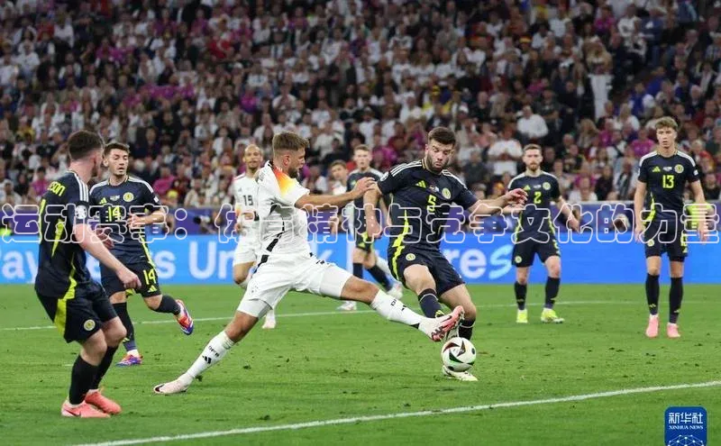 门徒娱乐平台登录入口