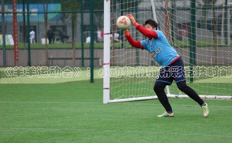 门徒娱乐平台登录入口